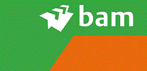 BAM logo