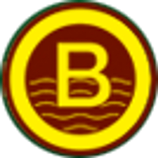 BORSBOOM Grondwatertechniek BV