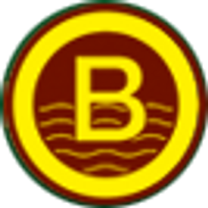 BORSBOOM Grondwatertechniek BV logo
